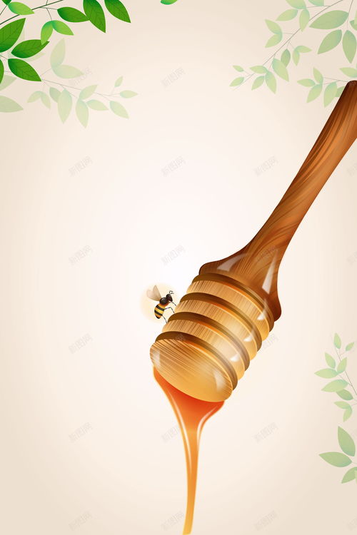 蜂蜜營(yíng)養(yǎng)食品 滋補(bǔ)與創(chuàng)意設(shè)計(jì)的完美融合