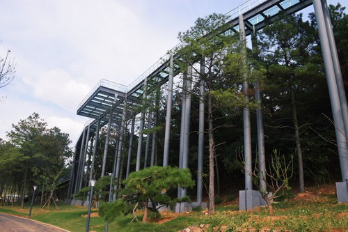 常州本土超大型企業(yè)拓展訓(xùn)練首選 露營(yíng)谷基地與其專業(yè)服務(wù)解析