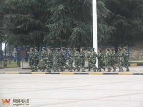淬火龍魂 磨礪鋒芒——宜賓綠源食品2013年精銳團(tuán)隊(duì)軍事化作訓(xùn)實(shí)錄
